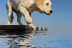 Попробуем тепленькая водичка